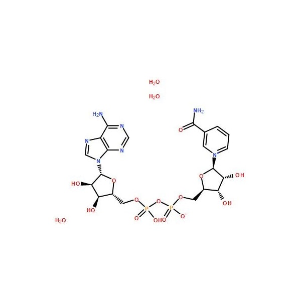 Ak Scientific Beta-nicotinamide adenine dinucleotide tetrahydrate (5g), CAS 282730-13-6 6616AF-5g - main