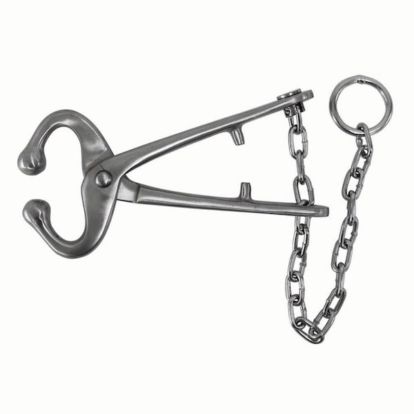 Jorgensen Laboratories Jorvet Bull Lead with Cha", No Hooks J0178B - main