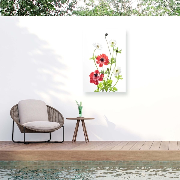 Trademark Fine Art Outdoor Canvas Art Ipuravida Spring Anemone Family Wall Art for Patios, or Gardens 1X18777-OC1624WR - main