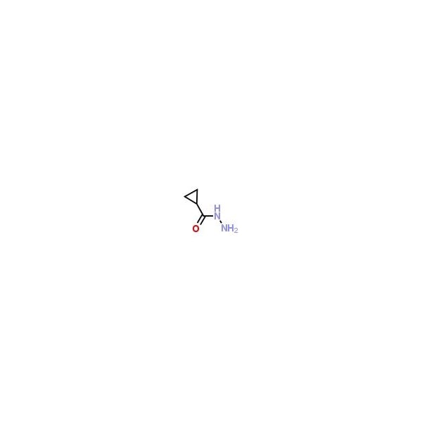 Ak Scientific Cyclopropanecarboxylic acid hydrazide (1g), CAS 6952-93-8 E019-1g - main