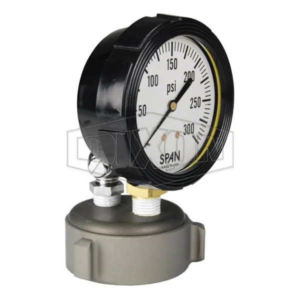 Dixon Cap Test Gauge with Petcock, 0 to 300 psi Pressure, Aluminum AFC250F-TGWP - main