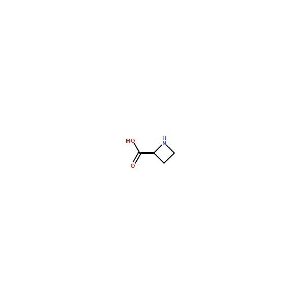 Ak Scientific Azetidine-2-carboxylic acid (10g), CAS 2517-04-6 X2014-10g - main