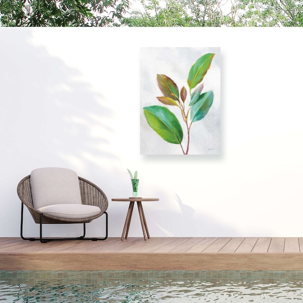 Trademark Fine Art Outdoor Canvas Art Danhui Nai 'Natural Riches Leaves II' Wall Art for Patios, or Gardens WAP33895-OC3547WR - main