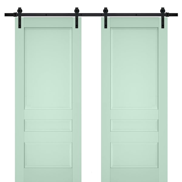 Sartodoors Sturdy Double Barn Door Solid Core Modern Interior VEREGIO7411DB-OLI-36 x 80 (2* 18x80)-Black Rail - main