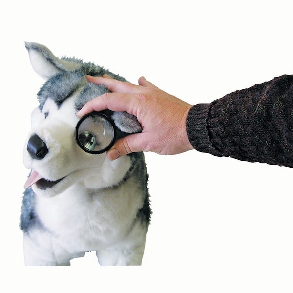 Jorgensen Laboratories Indirect Viewing Lens, 2 1/2"x1/2" J0992 - main