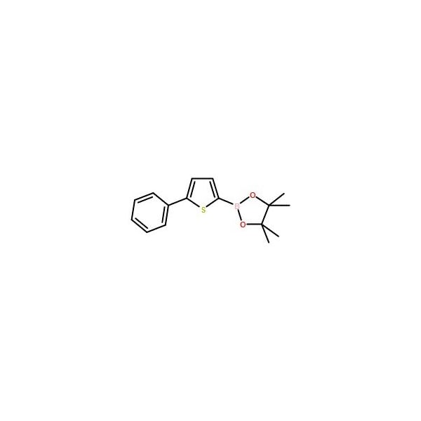 Ak Scientific 5-Phenylthiophene-2-boronic acid pinacol ester (5g), CAS 459409-74-6 Y1324-5g - main