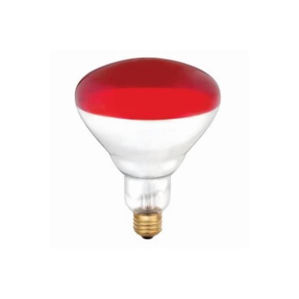 Westinghouse 6PK 250W R40 RED Lamp 397948 - main