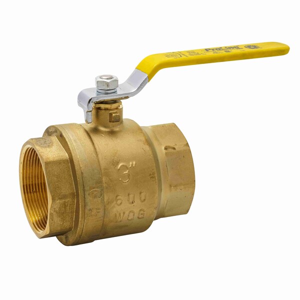 Proline Series Packing Gland Valve, Ips 3" PK2 107-830NL - main