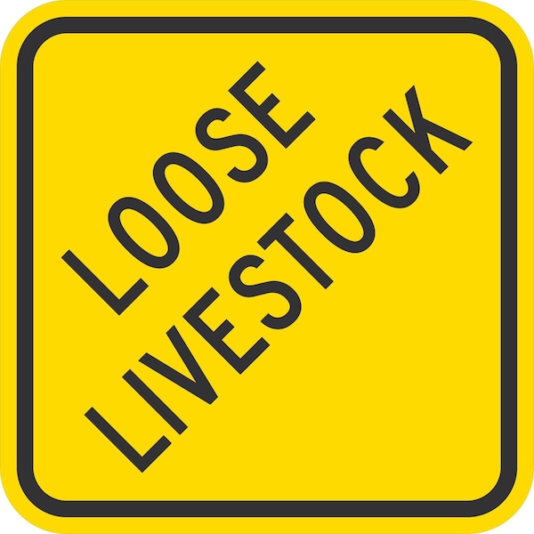 Lyle Loose Livestock, 12x12, Engineer Grade, Yellow G-2022-EG_12x12 - main
