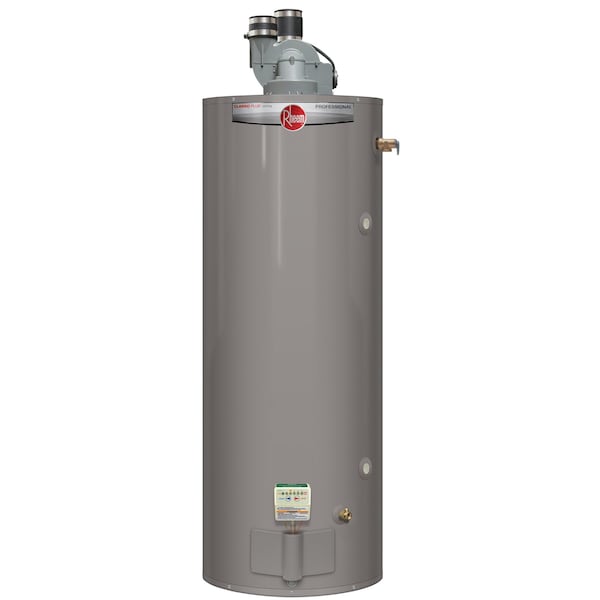 Rheem Natural Gas Residential Gas Water Heater, 50 gal, 120V AC PROG50-65N RH62 PDV/622392 - main