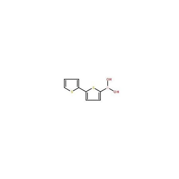 Ak Scientific 2, 2'-Bithiophene-5-boronic acid (1g), CAS 132898-95-4 X0515-1g - main