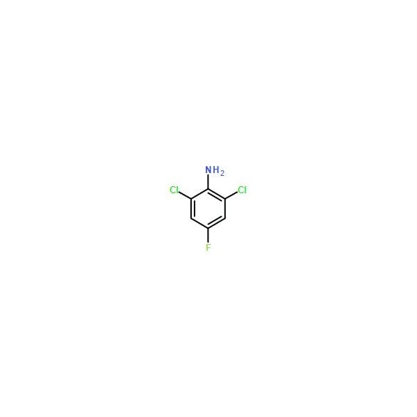 Ak Scientific 2, 6-Dichloro-4-fluoroaniline (1g), CAS 344-19-4 W5601-1g - main