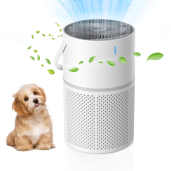 Edendirect 1250 sq.ft. HEPA Personal Air Purifier in White, with 3-layer Filter, 8H Timer, 3-level Speed ZR-QRAP010TKV02 - main