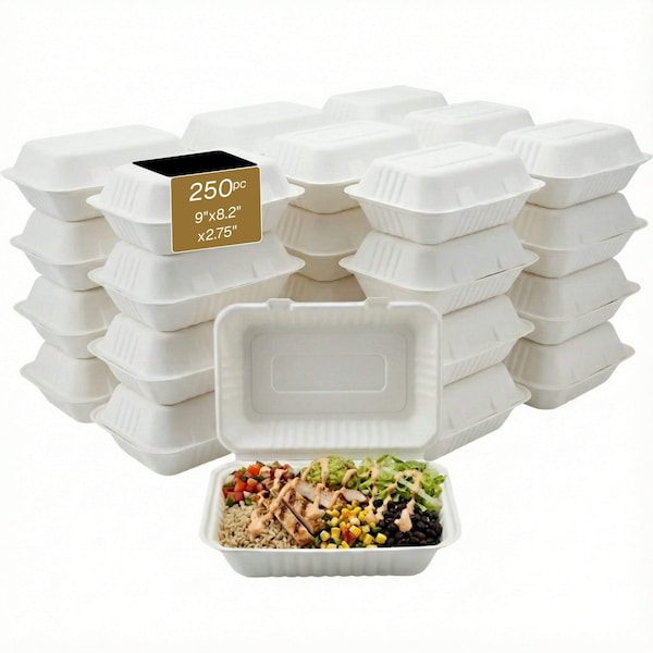 Eco Harmony Products Bagasse Hinged Food Storage Container, PFAS-Free, White, 9" x 6", 250PK 804607 - main