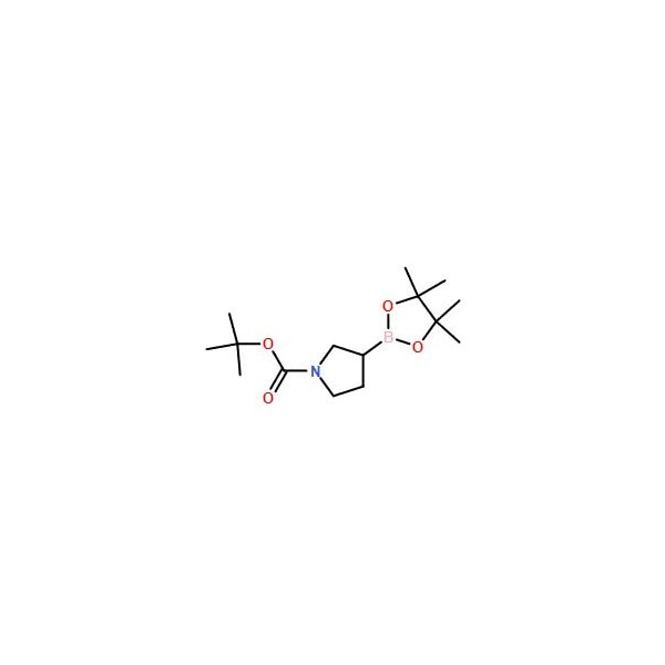 Ak Scientific 1-Boc-Pyrrolidine-3-boronic acid pinacol ester (1g), CAS 1312712-22-3 Z9555-1g - main