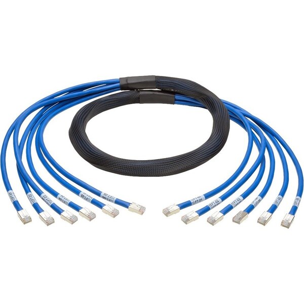 Eaton Tripp Lite Series Cat6a 10G Pre-Terminated Copper Trunk Assembly 6x RJ45 M/M, Blue, 10 ft. N261-010-6MM-BL - main