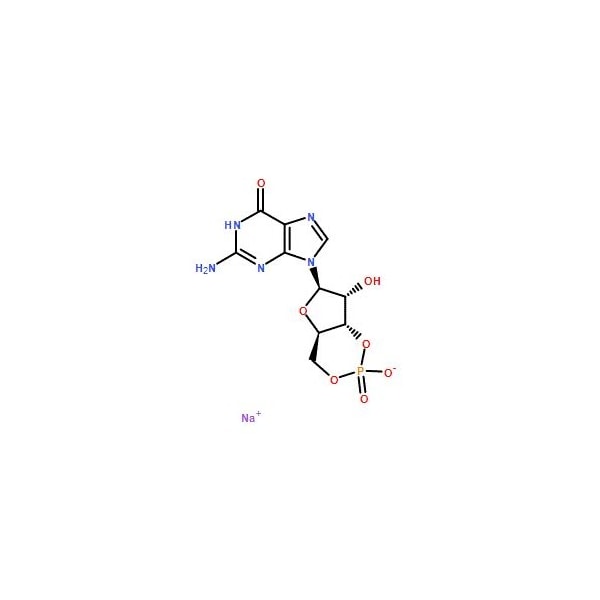 Ak Scientific Guanosine 3', 5'-cyclic monophosphate sodium salt (5mg), CAS 40732-48-7 7032AH-5mg - main