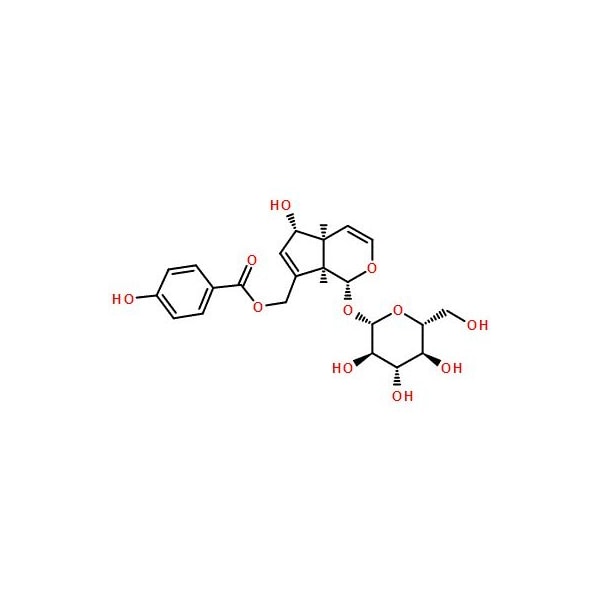 Ak Scientific Agnuside, tech. (5mg), CAS 11027-63-7 V1586-5mg - main