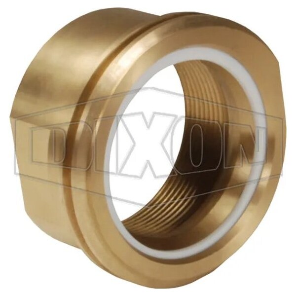 Dixon LNG30 FIXED END WITH 3 in FEMALE NPT BRASS LNG30BRFE-NC - main
