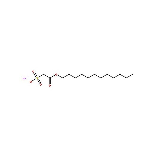 Ak Scientific Sodium new houttuyfonate (25g), CAS 1847-58-1 H745-25g - main