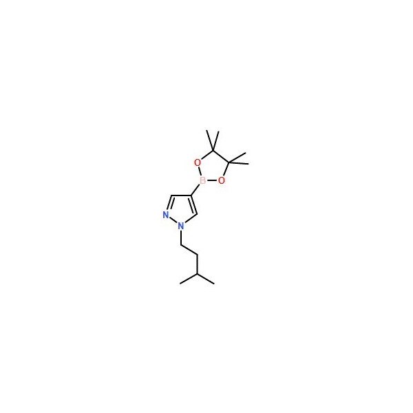 Ak Scientific 1-Isopentylpyrazole-4-boronic acid pinacol ester (5g), CAS 777063-41-9 Y4074-5g - main