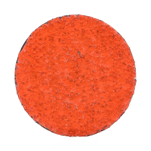 Norton Abrasives Quick Change Disc, 2", 36 Grit, F980 66261058704 - main