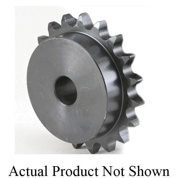 Tsubaki Stock Sprocket, 1.25 Bore, 13.841 OD, #100 chain, 33 T, 13.15 Dia P, 1045 CR CS 100B33 - main