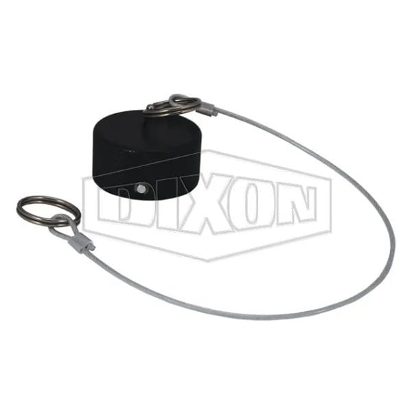 Dixon Mann-Tek by Mann Tek Dry Disconnect Dust Cap, 3/4 in x 1 in, Polyethylene, Domestic DDDC075 - main