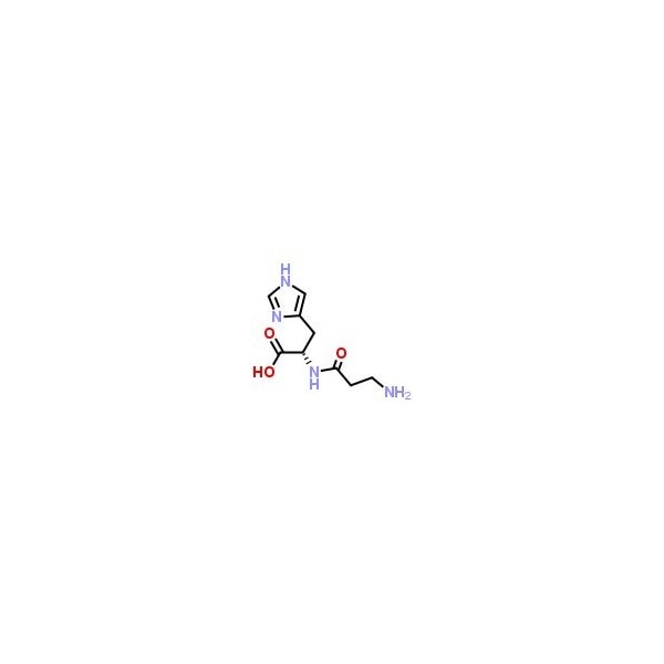 Ak Scientific L-Carnosine (1g), CAS 305-84-0 F589-1g - main