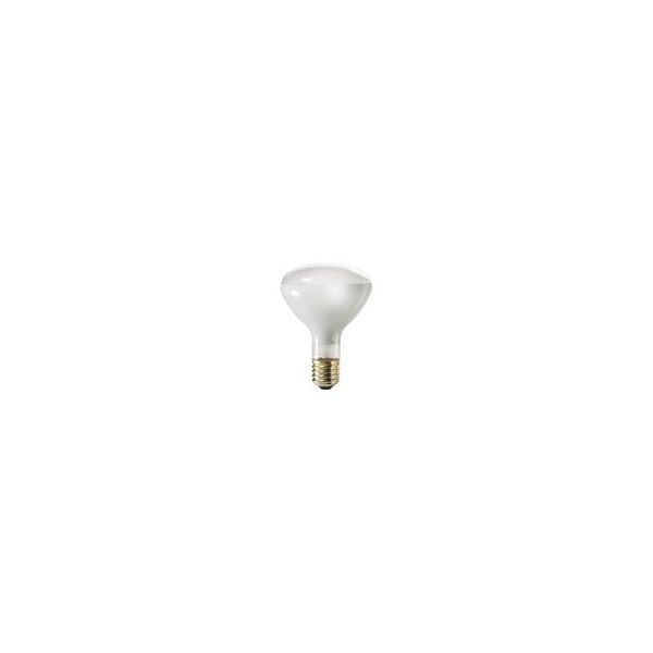 Current Lighting Incandescent Bulbs 500R/3FL-120 - main
