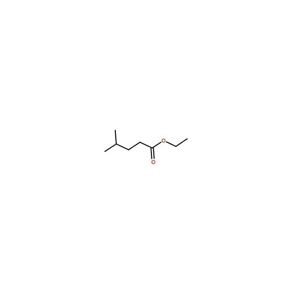Ak Scientific Ethyl 4-methylvalerate (5g), CAS 25415-67-2 6706AH-5g - main