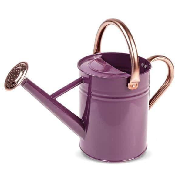 Classic Accessories 1 gal Watering Can, Violet & Copper VE2688422 - main