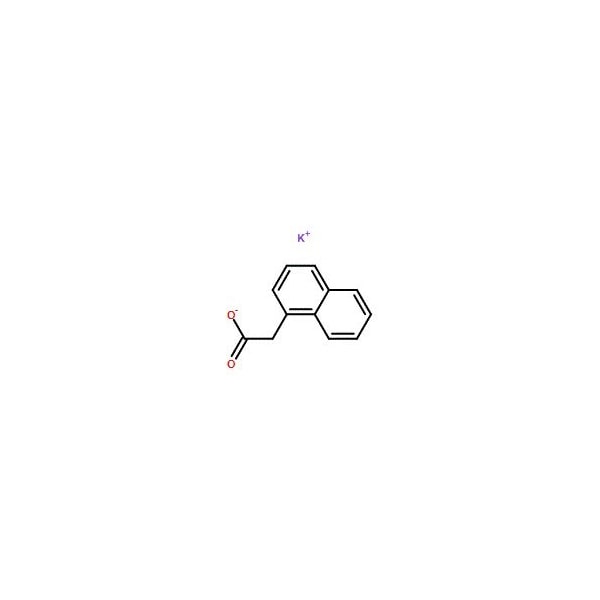 Ak Scientific Potassium 1-Naphthylacetate (5g), CAS 15165-79-4 6086AF-5g - main