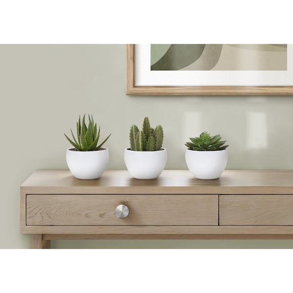 Monarch Specialties Artificial Plant, 6'' Tall, Succulent, Indoor, Faux, Decorative, Green Plants, White Pots, 3PK I 9555 - main