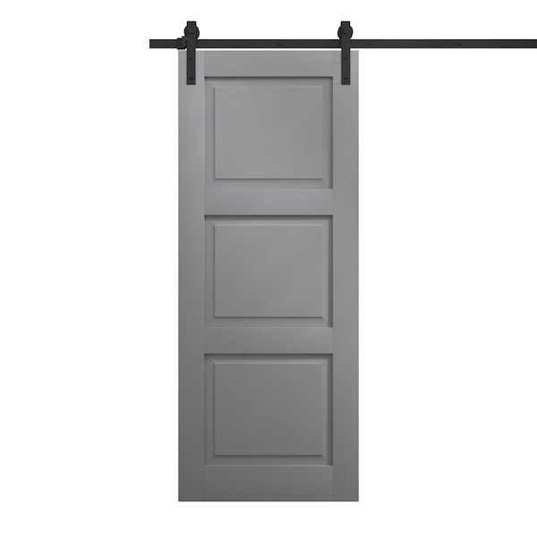 Sartodoors Modern Barn Door 32 x 80 inches, Ego 5010 Painted Grey Oak, 6.6FT Rail Track Heavy Hardware Set, EGO5010BD-B-SEK-32 - main