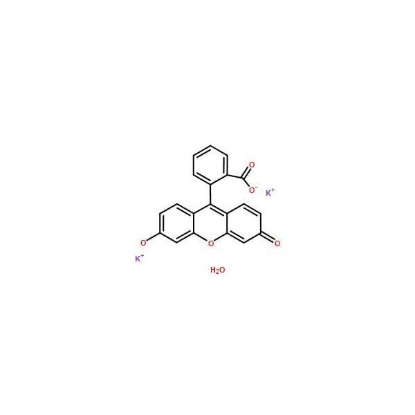 Ak Scientific Uranine K (1g), CAS 6417-85-2 9394AL-1g - main