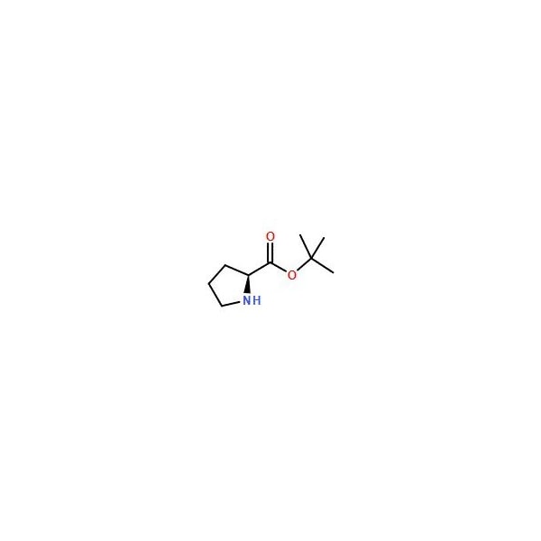 Ak Scientific L-Proline t-butyl ester (5g), CAS 2812-46-6 U883-5g - main
