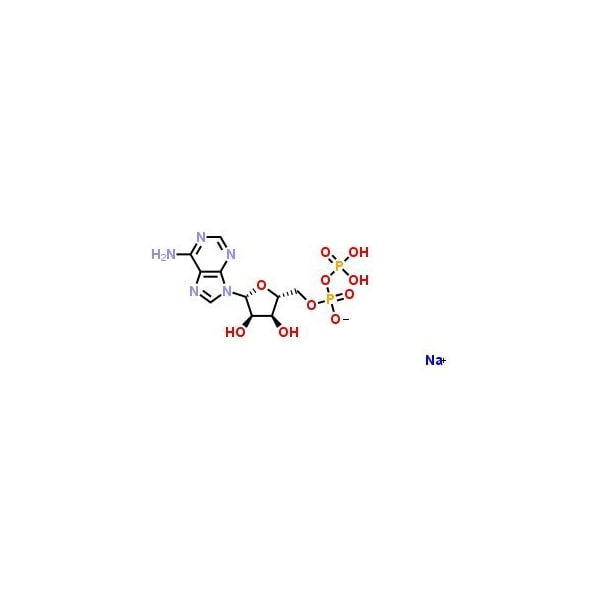 Ak Scientific Adenosine 5′-diphosphate sodium salt (25g), CAS 20398-34-9 H356-25g - main