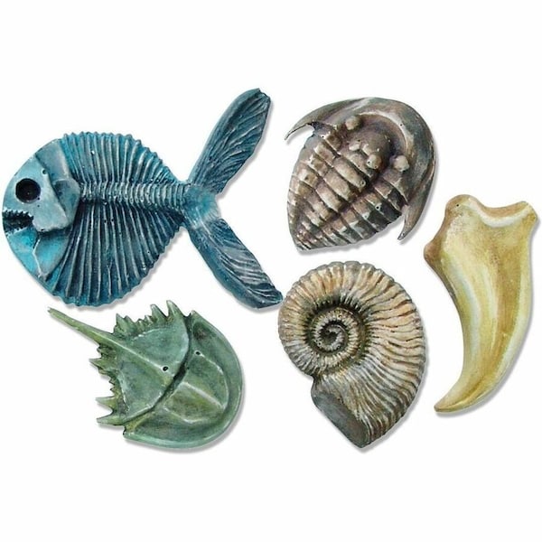 Roylco R52002 Roylco Fossil Molds 5 designs R52002 - main