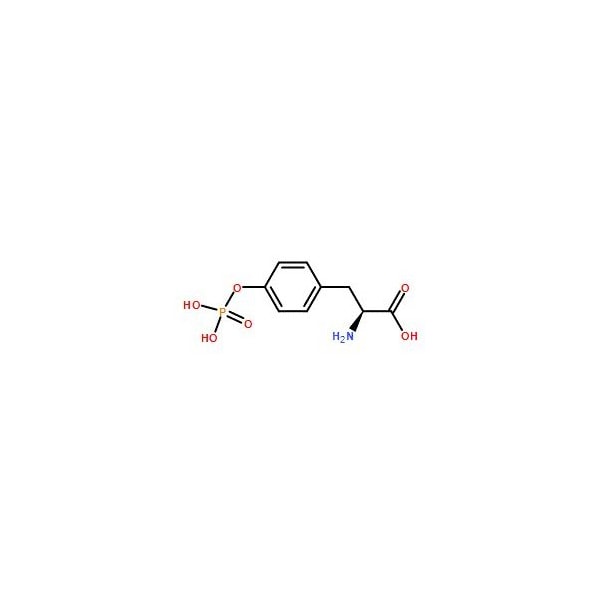 Ak Scientific O-Phospho-L-tyrosine (25g), CAS 21820-51-9 X5205-25g - main