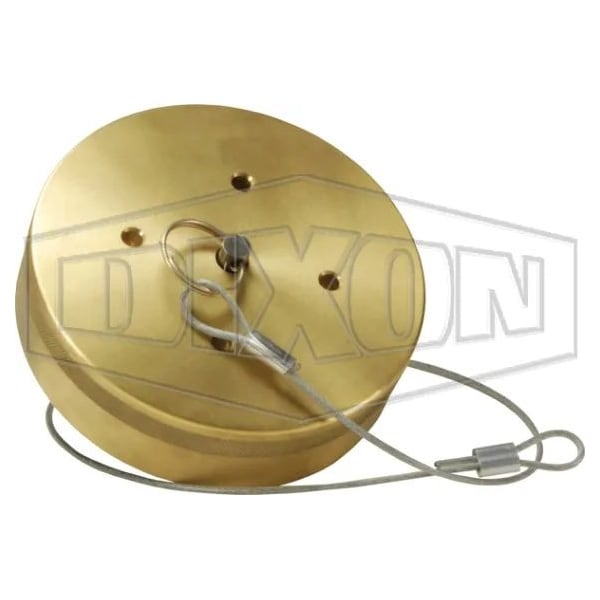 Dixon CAP FOR LNG30BRFE ADN LNG20BRFE LNGBRFECAP - main