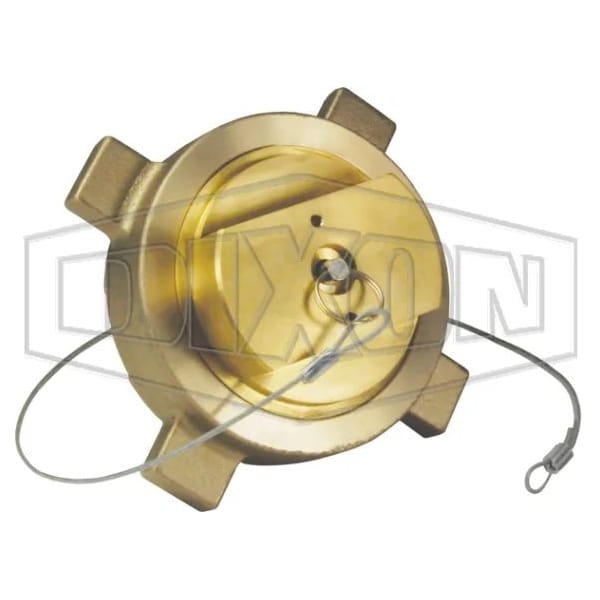 Dixon 2 in BRASS LNG HOSE END LNG20BRHE - main