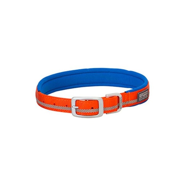 Orbit Fatmax Garden Hose