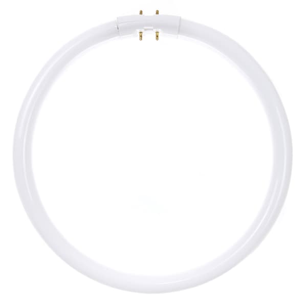 Sunlite FC22T5W Fluorescent T5 Circline Bulb, 2GX13, Cool White, PK12 ...