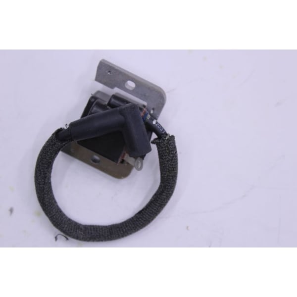 Kohler Engine Module Rfi Ign W/Sleeve (Dsam) (25 584 02) | Zoro