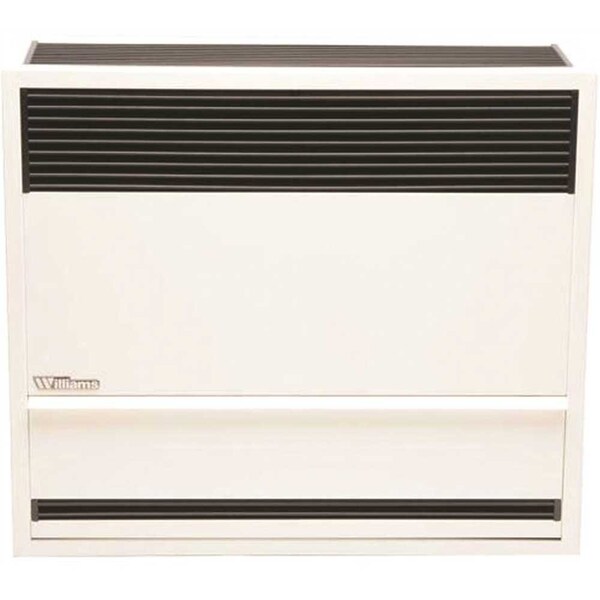 Williams 30,000 BTUH 66% AFUE Direct-Vent Propane Gas Gravity Wall Heater  3003821 | Zoro