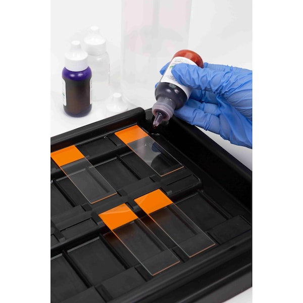 ヒスコレカートン Heathrow Scientific Slide Staining Tray Set, Black, 18 Place