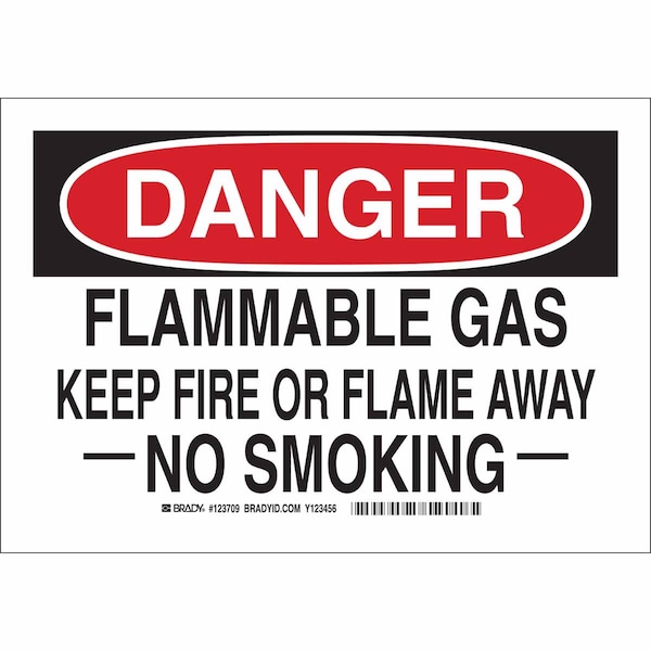 Brady Danger No Smoking Sign, 10" H, 14 in W, Rectangle, English, 123710 123710 - main