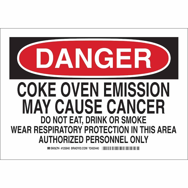 Brady Sign, Danger, 7X10", 125838 125838 - main