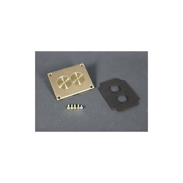Wiremold Duplex Cover Plate, Brown, Brass 828SPTC Zoro